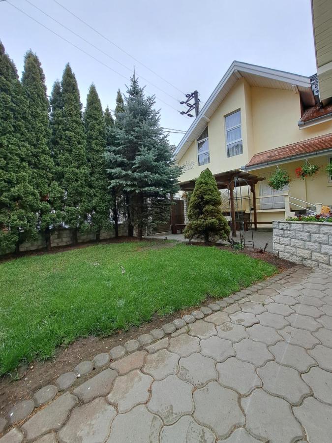 Pensiunea Irina Tilisca Exterior photo