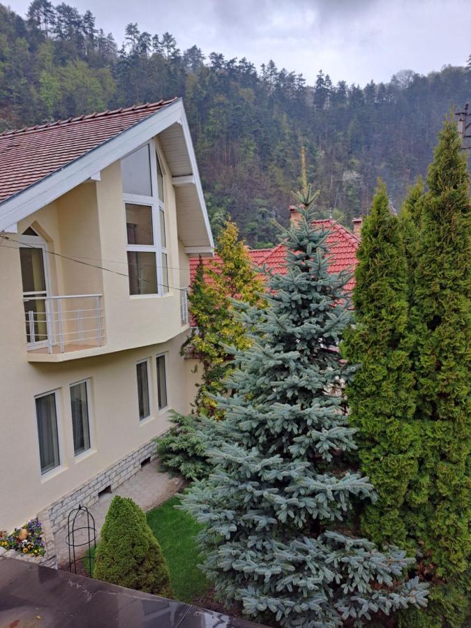 Pensiunea Irina Tilisca Exterior photo