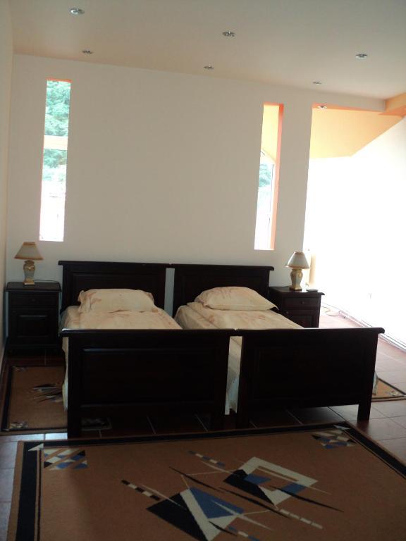 Pensiunea Irina Tilisca Room photo