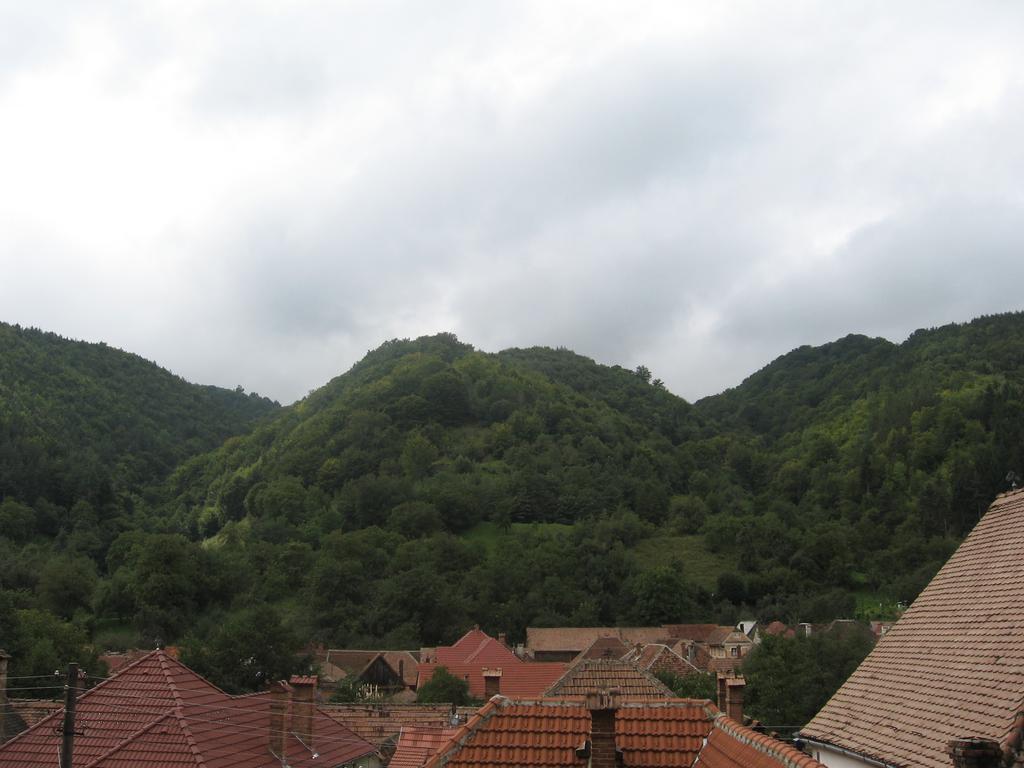 Pensiunea Irina Tilisca Exterior photo