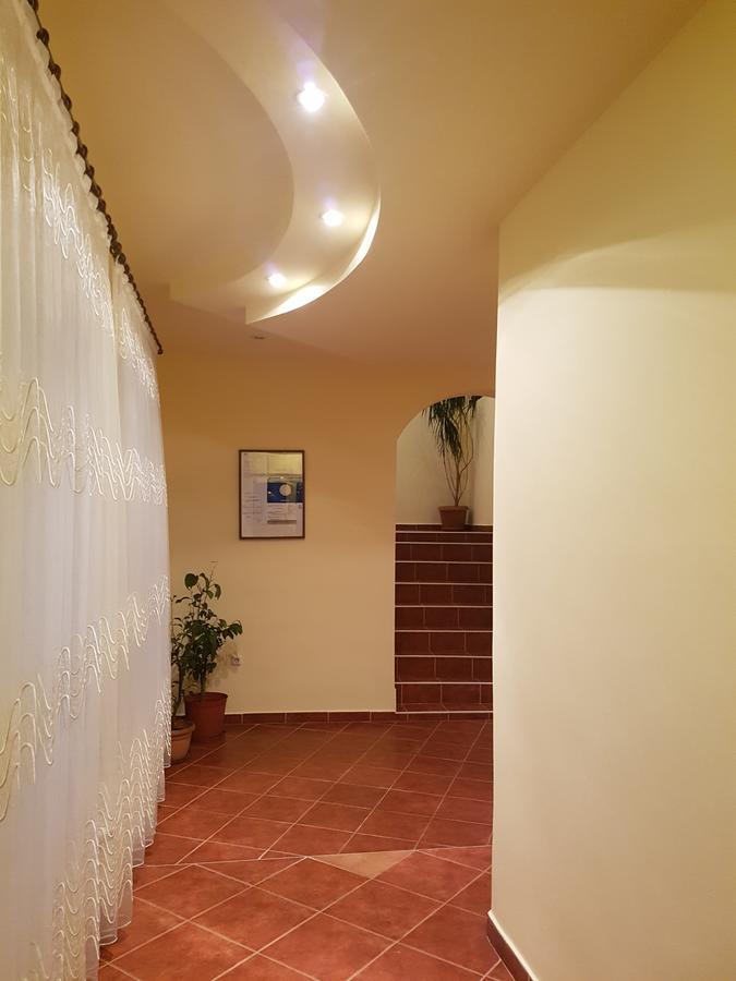 Pensiunea Irina Tilisca Exterior photo